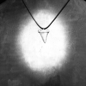 Minimal Silver Shark Tooth Pendant Necklace